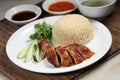 Chicken Rice Royalty Free Stock Photo