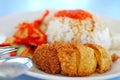 Chicken rice delicacy Royalty Free Stock Photo