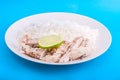 Chicken with rice and lemon on plate Royalty Free Stock Photo