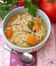 Chicken rice soupe Royalty Free Stock Photo