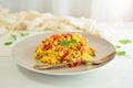 Chicken Risotto with Vegetables and Turmeric Royalty Free Stock Photo