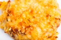 Chicken rissole with cheese. Royalty Free Stock Photo