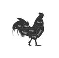 Chicken, rooster butcher cuts diagram, icon, vector illustration