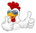 Chicken Rooster Cockerel Bird Sunglasses Cartoon Royalty Free Stock Photo