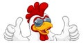 Chicken Rooster Cockerel Bird Sunglasses Cartoon Royalty Free Stock Photo