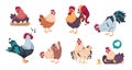 Chicken and rooster. Cute poultry farm characters, cartoon chick with baby chickens isolated. Vector domestic birds set Royalty Free Stock Photo