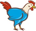 Chicken Rooster Side Cartoon