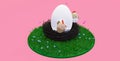 A chicken and a rooster are sitting in a large egg