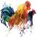 Chicken and rooster T-shirt graphics, chicken and rooster family illustration with splash watercolor textured background. Royalty Free Stock Photo