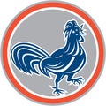 Chicken Rooster Walking Circle Retro