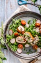 Chicken roulade with fresh salad Royalty Free Stock Photo