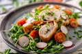 Chicken roulade with fresh salad Royalty Free Stock Photo