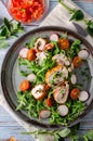 Chicken roulade with fresh salad Royalty Free Stock Photo