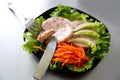 Chicken roulade on salad. Royalty Free Stock Photo