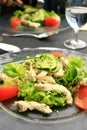 Chicken salad Royalty Free Stock Photo