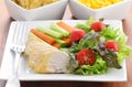 Chicken with salad Royalty Free Stock Photo