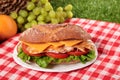 Chicken salad baguette sandwich with picnic basket