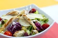 Chicken salad. Chiciken, caesar. Royalty Free Stock Photo