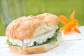 Chicken Salad Croissant Royalty Free Stock Photo