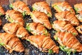 Chicken salad croissant sandwich Royalty Free Stock Photo