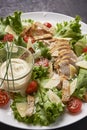 Chicken salad with dressing Royalty Free Stock Photo