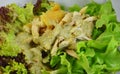 Chicken salad dressing sour sauce on dish Royalty Free Stock Photo