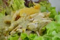 Chicken salad dressing sour sauce on dish Royalty Free Stock Photo