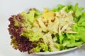 Chicken salad dressing sour sauce on dish Royalty Free Stock Photo