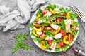 Chicken salad. Meat salad with fresh tomato, sweet pepper, arugula and grilled chicken breast. Chicken fillet with fresh vegetable Royalty Free Stock Photo