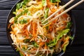 Chicken salad with rice noodles, carrots and greens close-up. Ho Royalty Free Stock Photo