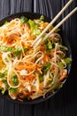 Chicken salad with rice noodles, carrots and greens close-up. Vertical top view Royalty Free Stock Photo