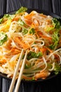 Chicken salad with rice noodles, carrots and greens close-up. vertical Royalty Free Stock Photo