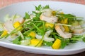 Chicken salad with ruccola and mango Royalty Free Stock Photo