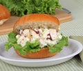 Chicken Salad Sandwich Royalty Free Stock Photo