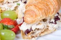 Chicken salad sandwich Royalty Free Stock Photo