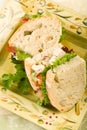 Chicken Salad Sandwich Royalty Free Stock Photo