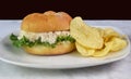 chicken salad sandwich and a side of chips Royalty Free Stock Photo