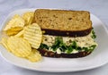 Chicken salad sandwich  with a side of potato chips Royalty Free Stock Photo