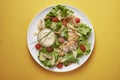 Chicken salad with dressing Royalty Free Stock Photo