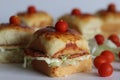 Chicken Salami Slider. A delicious slider with chicken salami, cheese, lettuce, and tomato Royalty Free Stock Photo