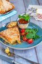 Chicken samosas with mango chutney and fresh salad Royalty Free Stock Photo