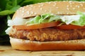 Chicken sandwich Royalty Free Stock Photo