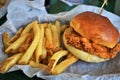 Chicken Sandwich and fries