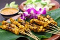 Chicken satay with peanut sauce, indonesian skewer cuisine Royalty Free Stock Photo