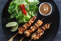 Chicken Satay or Sate Ayam - Malaysian famous food.