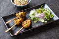 Chicken satay and cucumber salad