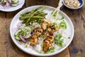 Chicken satay and cucumber salad, rice and green beans Royalty Free Stock Photo