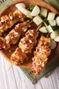 Chicken satay sprinkled with peanuts close-up. vertical top view Royalty Free Stock Photo