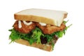 Chicken schnitzel sandwich with salad and mayo