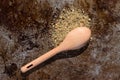 Chicken Seasoning Spilled from a Teaspoon Royalty Free Stock Photo